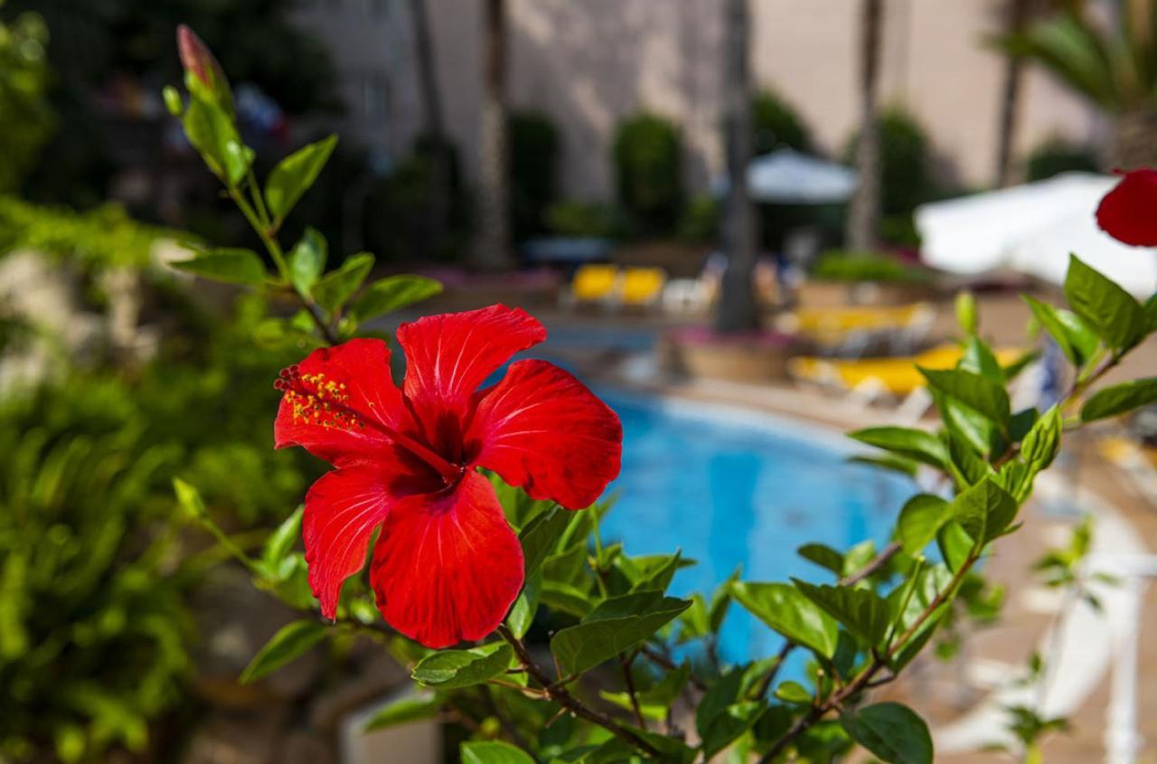 Hotel Guitart Rosa - Adults Only Льорет-де-Мар Екстер'єр фото